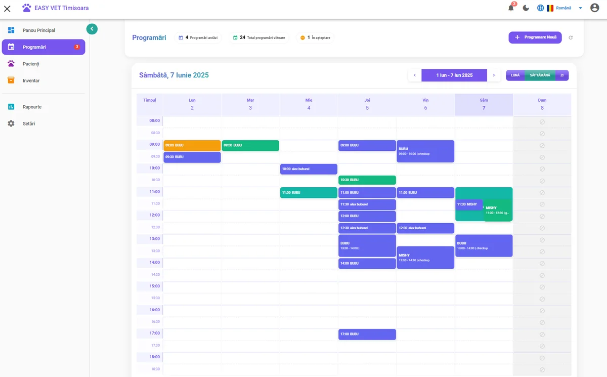 Evaluarea performanței anuale 2024: Metrici și indicatori cheie