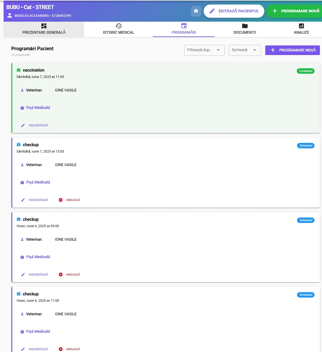 ROI-ul digitalizării: Cum să calculezi rentabilitatea investiției în software veterinar